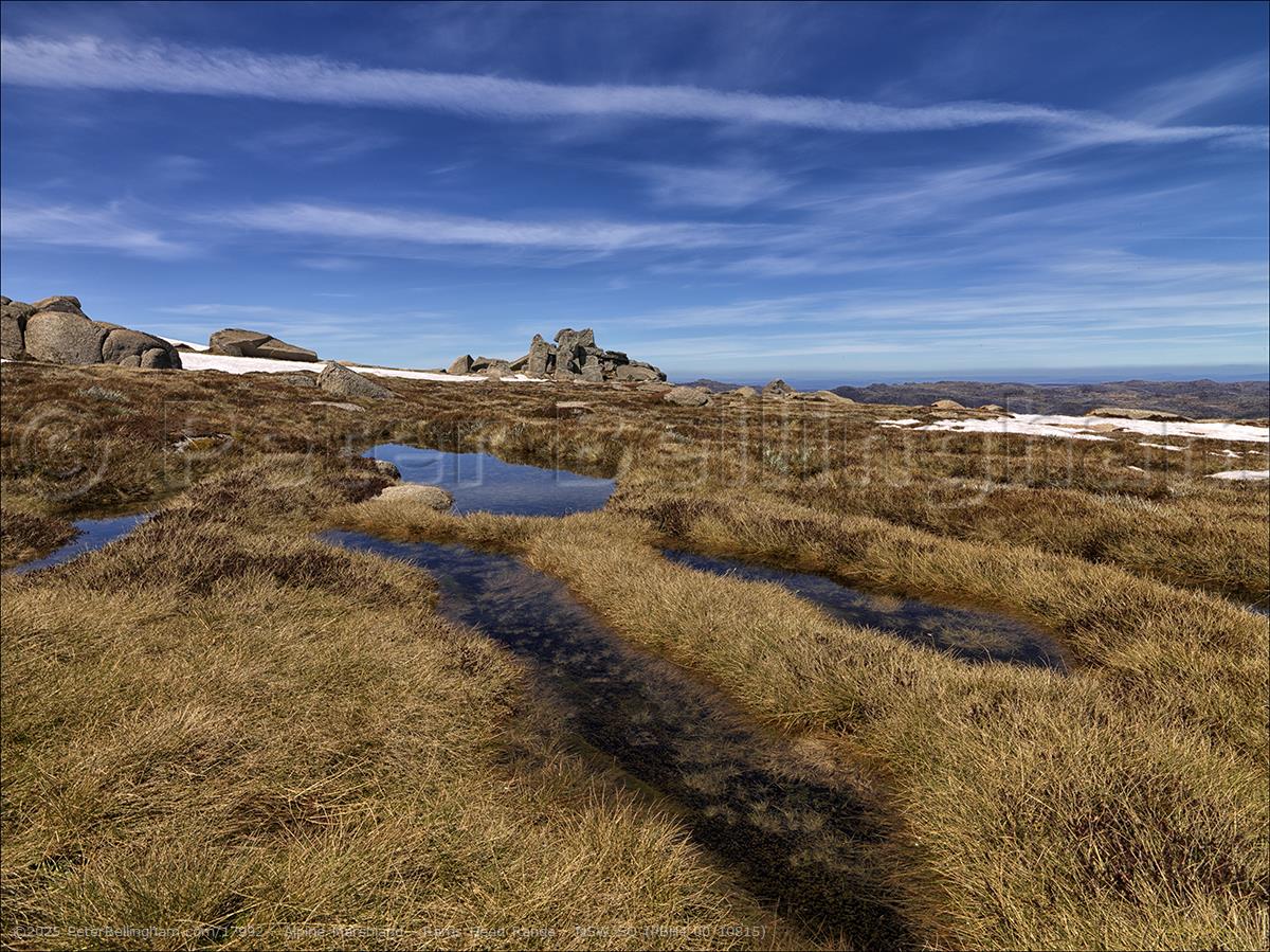 Peter Bellingham Photography Alpine Marshland - Rams Head Range - NSW SQ (PBH4 00 10815)